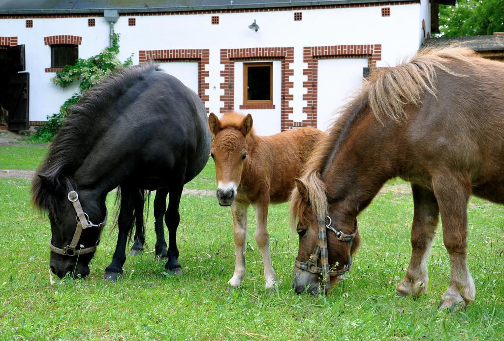 Palace Popowo Stare Bed & Breakfast Ngoại thất bức ảnh